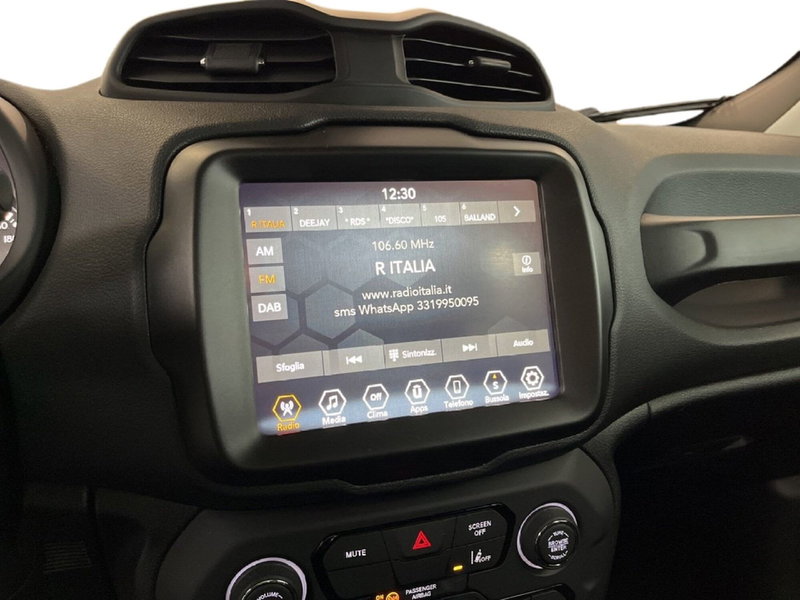 Jeep Renegade usata a Torino (14)