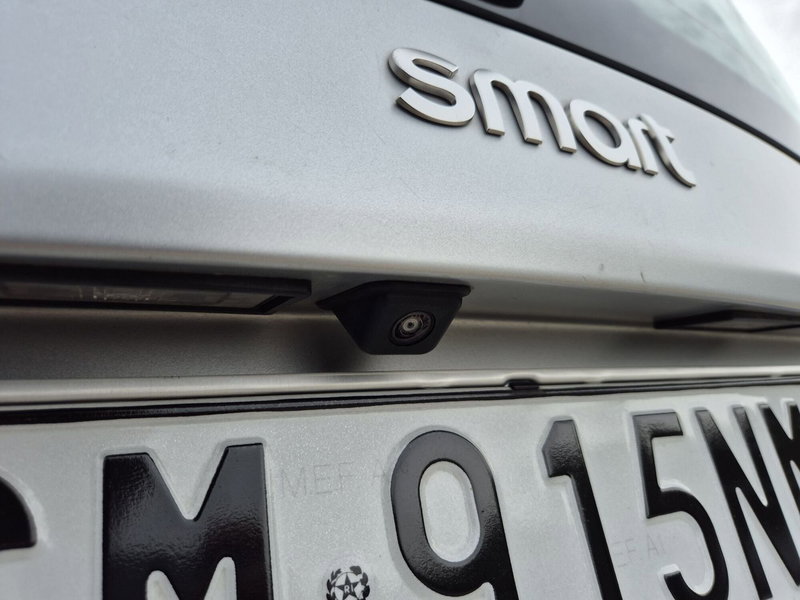 smart Fortwo usata  (13)