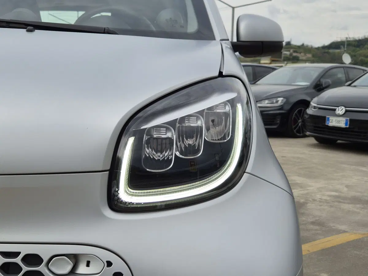 smart Fortwo usata  (14)