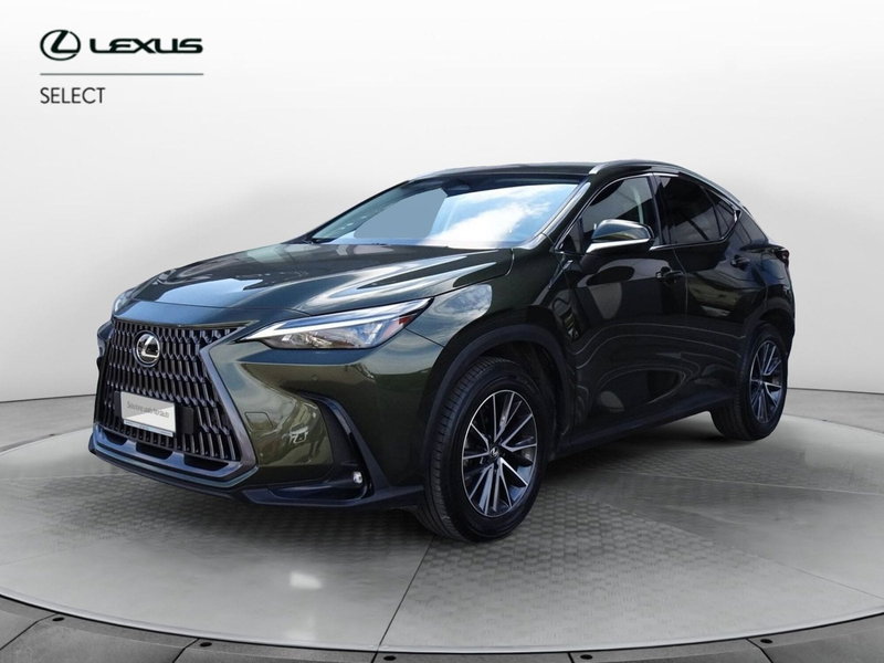 Lexus NX usata a Venezia