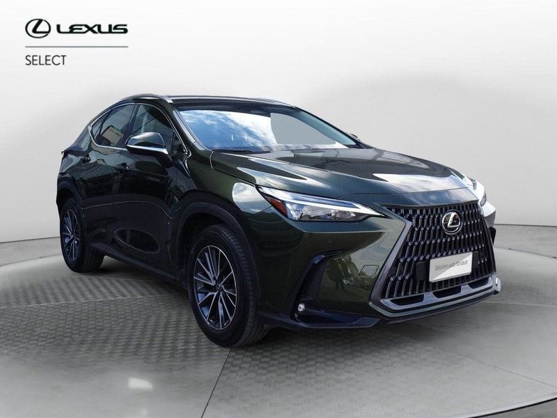 Lexus NX usata a Venezia (3)