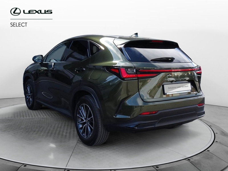 Lexus NX usata a Venezia (5)