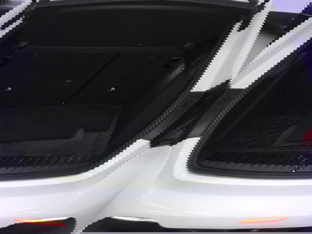 BMW Serie 1 usata a Forlì-Cesena (14)