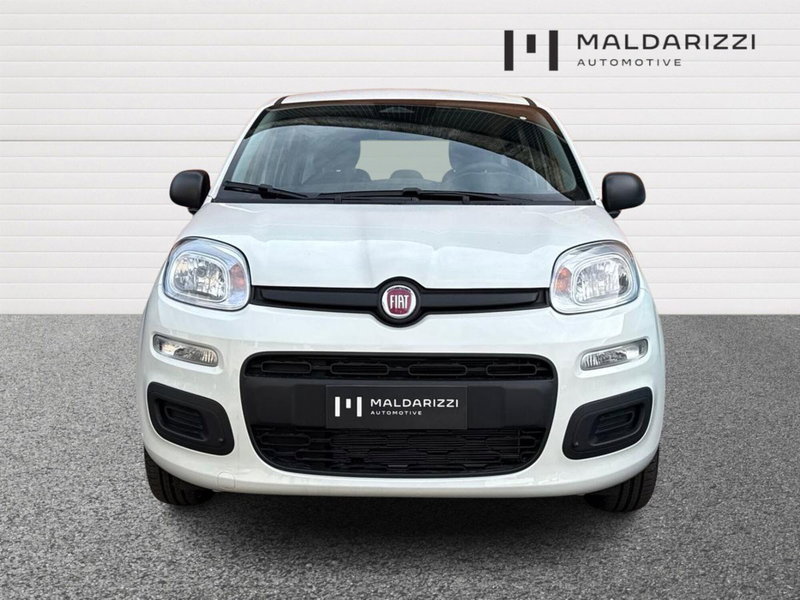 Fiat Pandina nuova a Foggia (2)