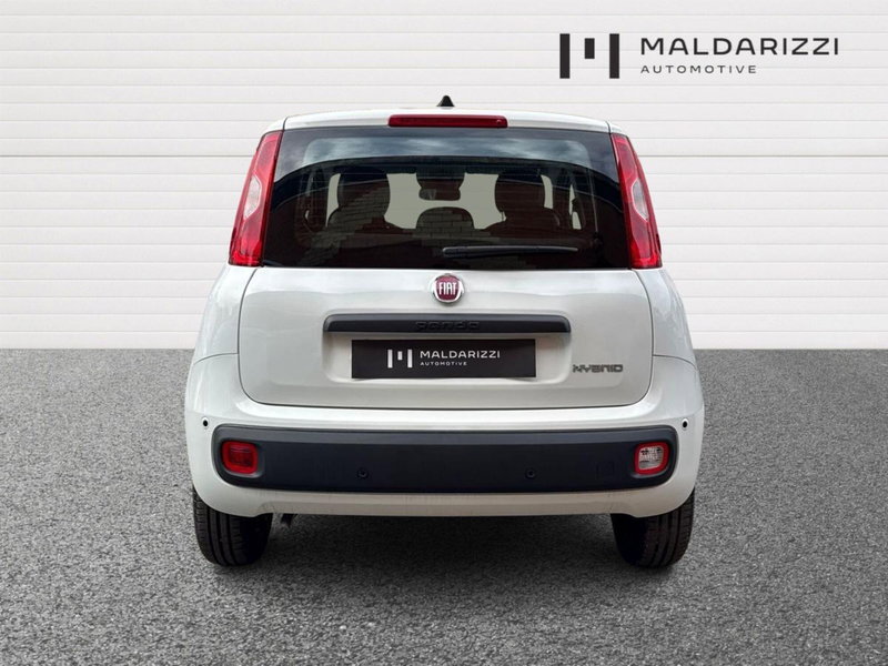 Fiat Pandina nuova a Foggia (3)