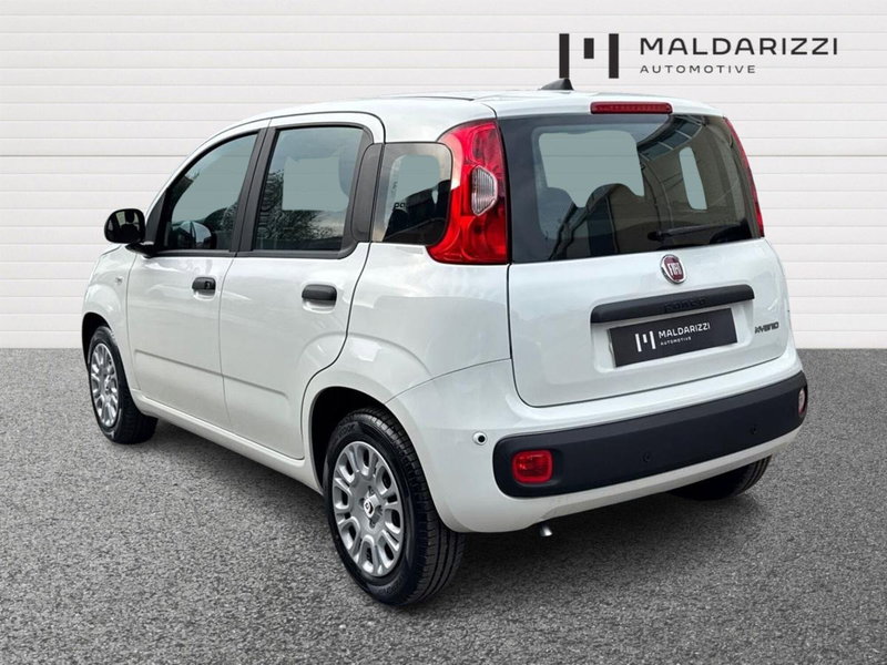 Fiat Pandina nuova a Foggia (4)