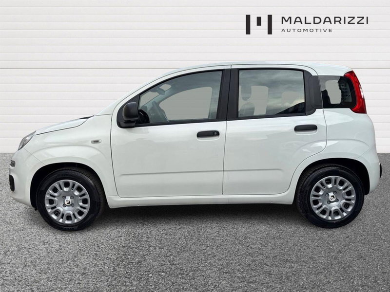 Fiat Pandina nuova a Foggia (5)