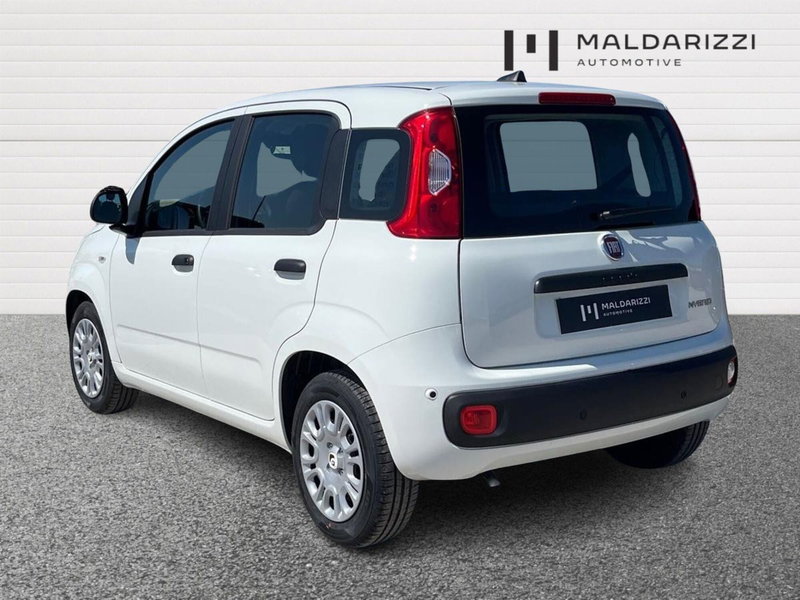 Fiat Pandina nuova a Bari (4)