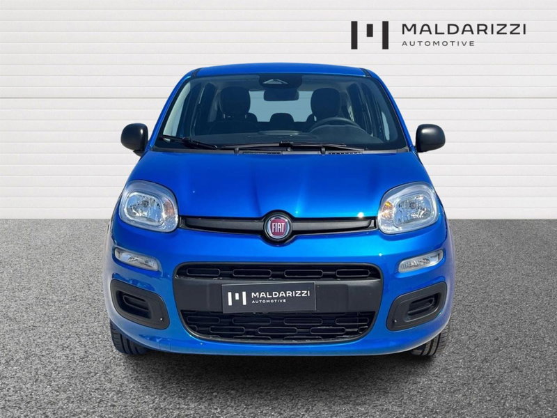 Fiat Pandina nuova a Bari (2)