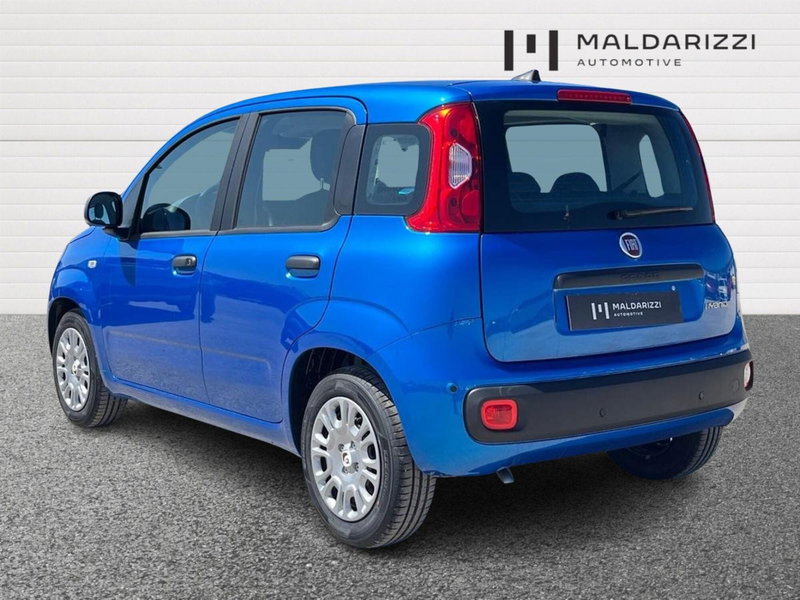 Fiat Pandina nuova a Bari (4)