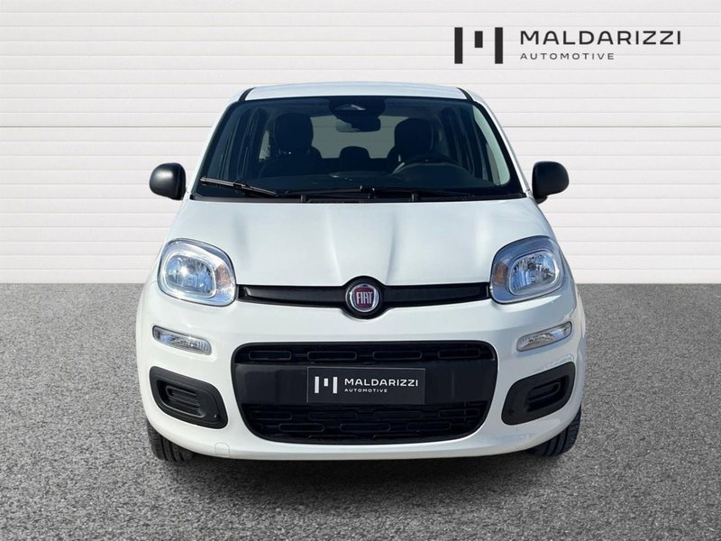 Fiat Pandina nuova a Bari (2)