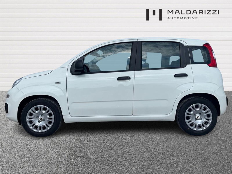 Fiat Pandina nuova a Bari (5)