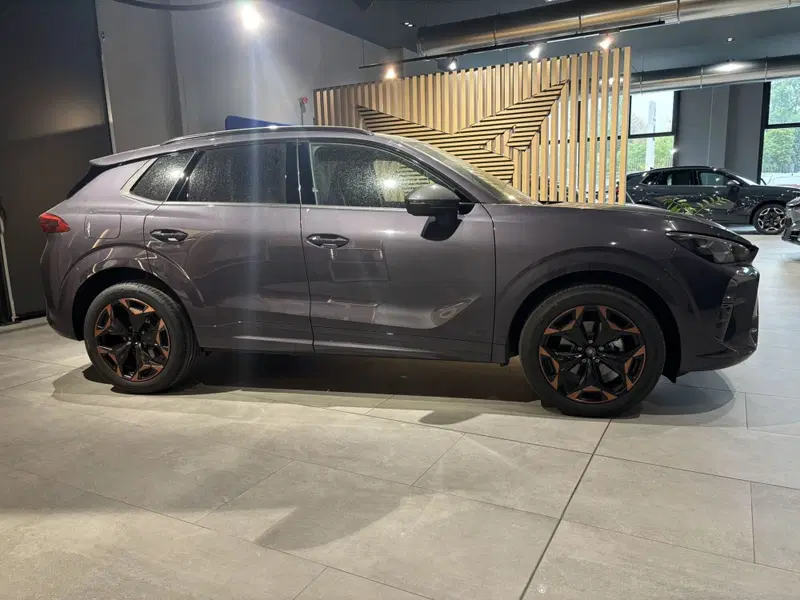 Cupra Terramar nuova a Ferrara (4)
