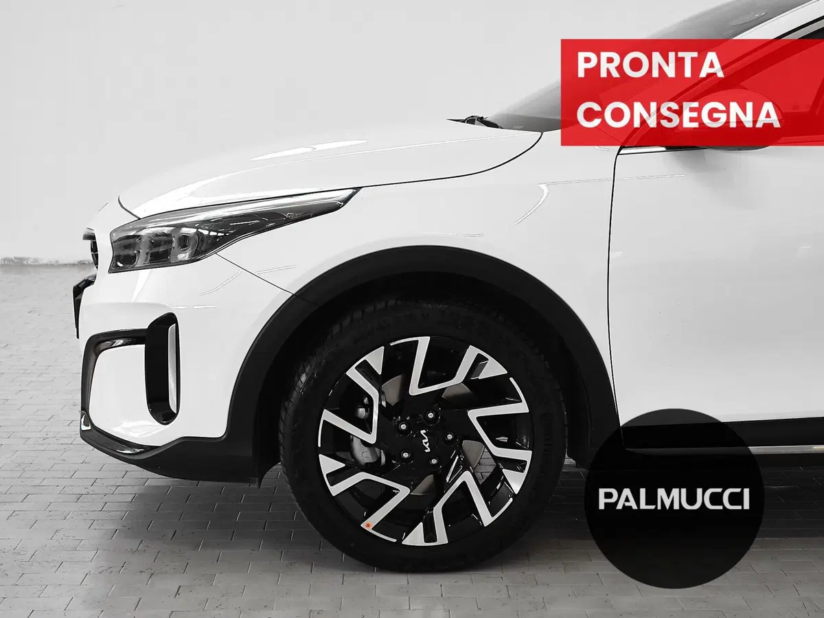 Kia XCeed usata a Prato (6)