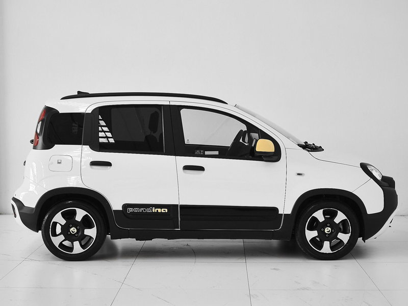 Fiat Panda Cross usata a Prato (7)