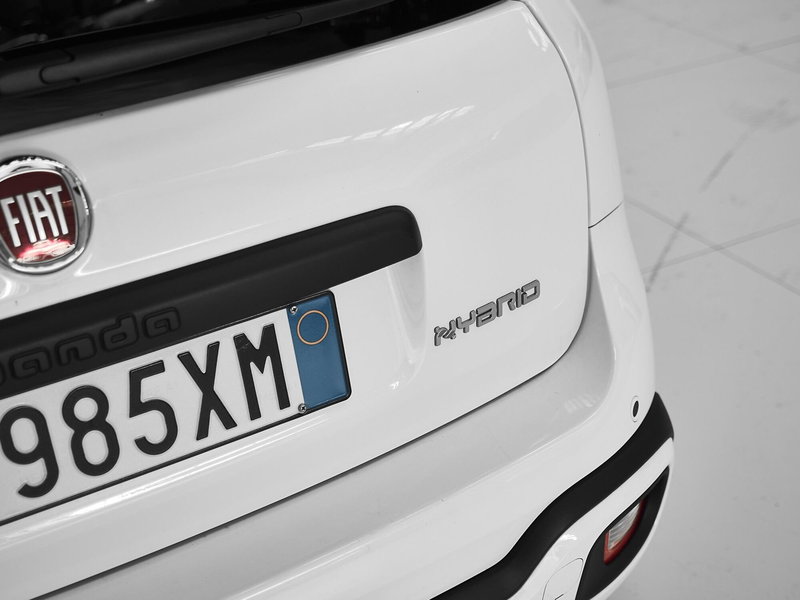 Fiat Panda Cross usata a Prato (8)