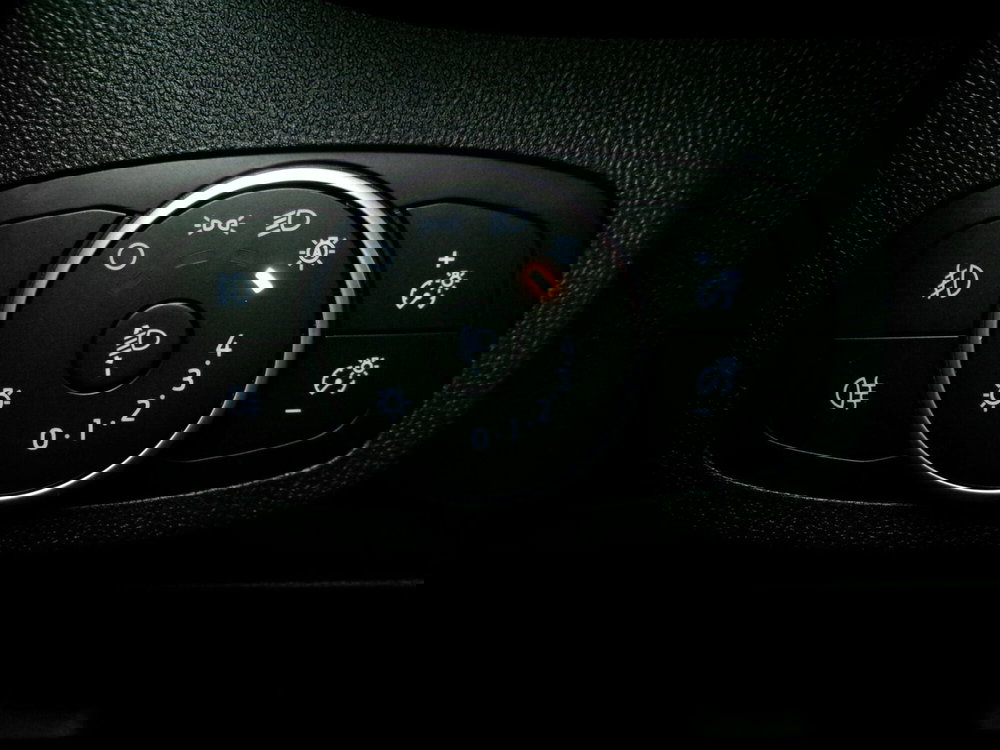 Ford Fiesta usata a Venezia (18)