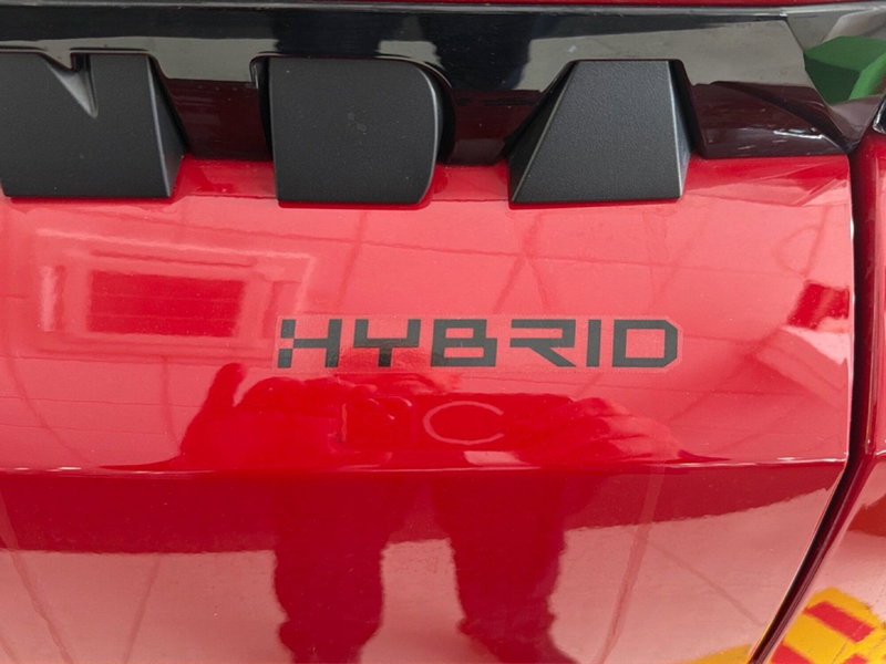 Fiat Grande Panda nuova a Palermo (12)