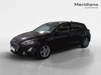 Ford Focus Station Wagon 1.5 EcoBlue 120 CV automatico SW Business del 2019 usata a Favara