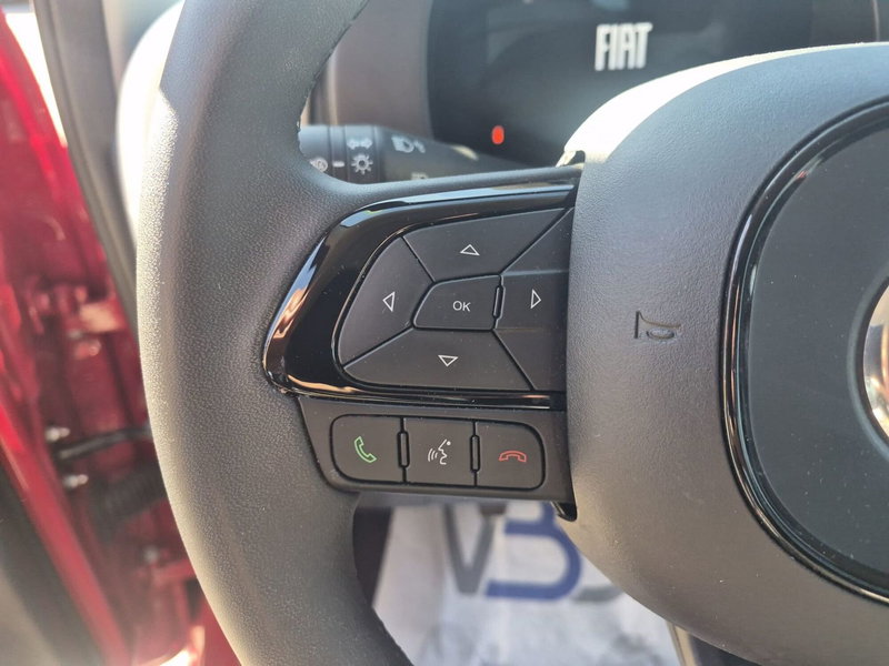 Fiat Panda Cross usata a Milano (11)