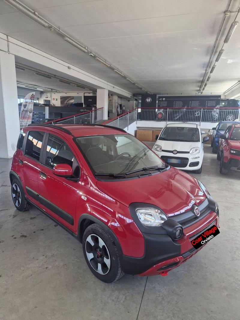 Fiat Panda Cross usata a Terni