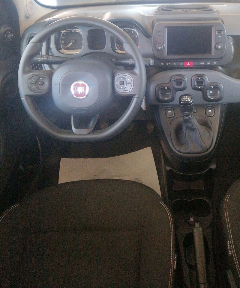 Fiat Panda Cross usata a Terni (11)