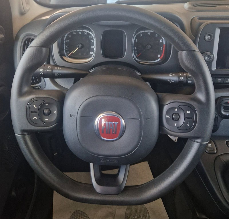Fiat Panda Cross usata a Terni (12)