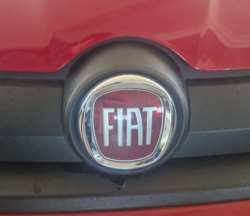 Fiat Panda Cross usata a Terni (20)