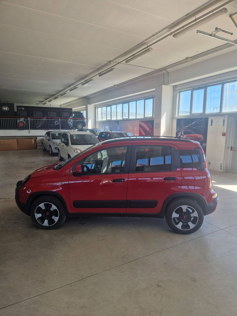 Fiat Panda Cross usata a Terni (3)