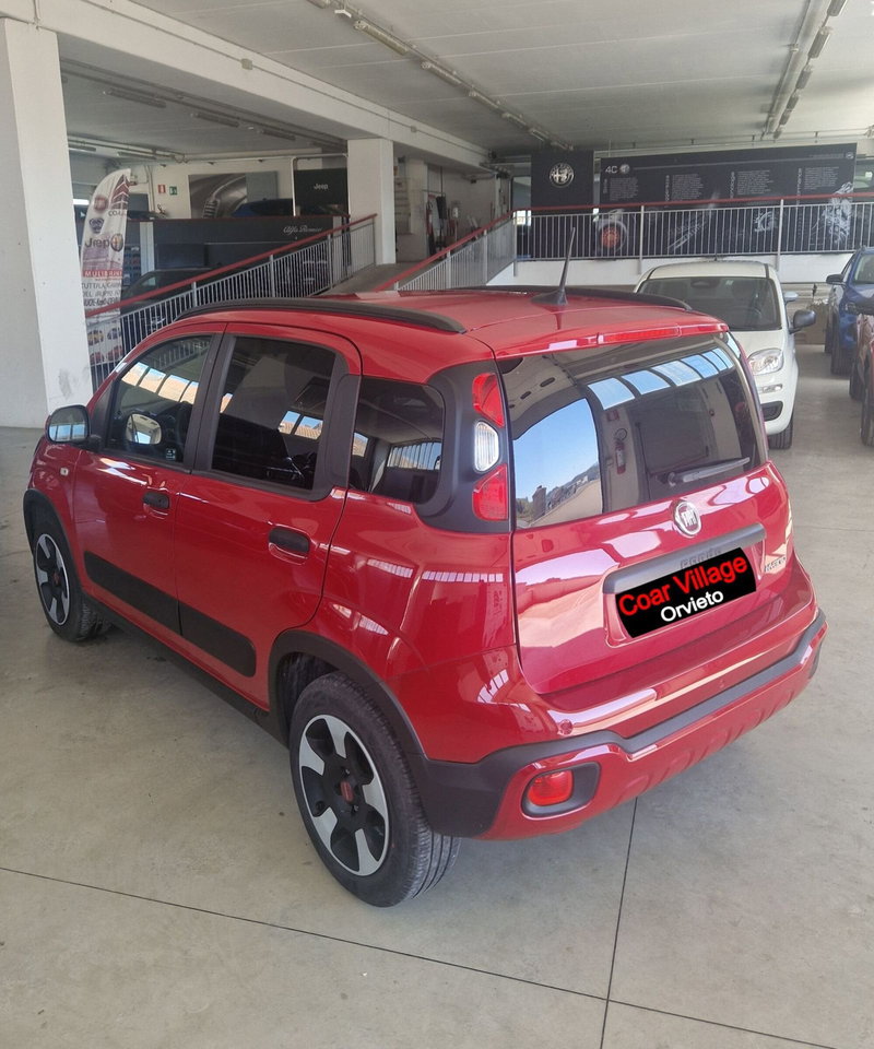 Fiat Panda Cross usata a Terni (4)