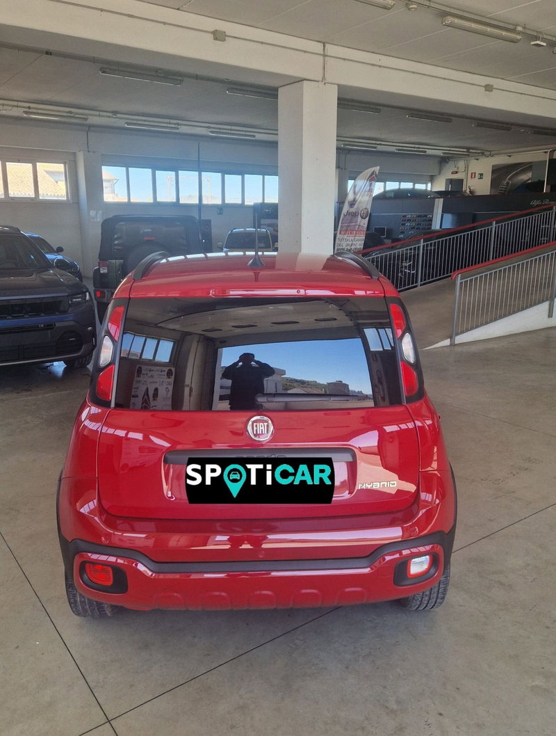 Fiat Panda Cross usata a Terni (5)