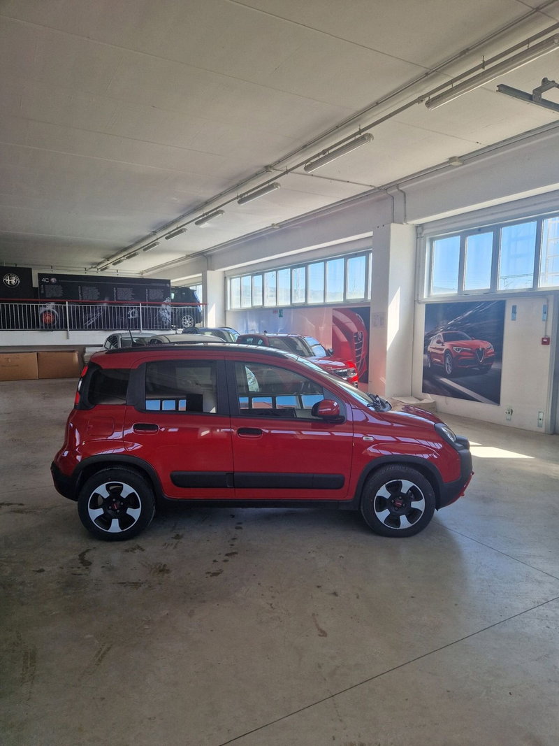 Fiat Panda Cross usata a Terni (6)