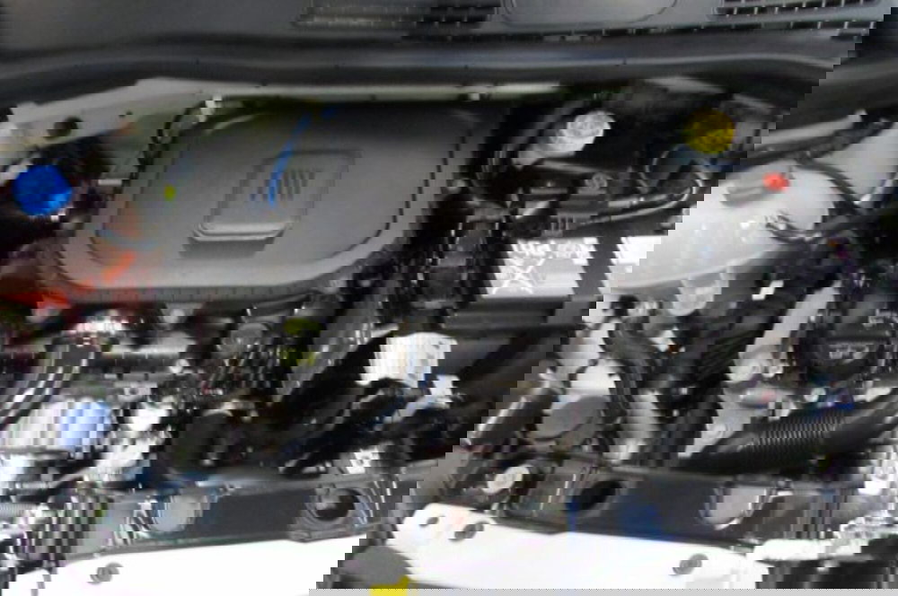 Fiat Panda usata a Milano (18)