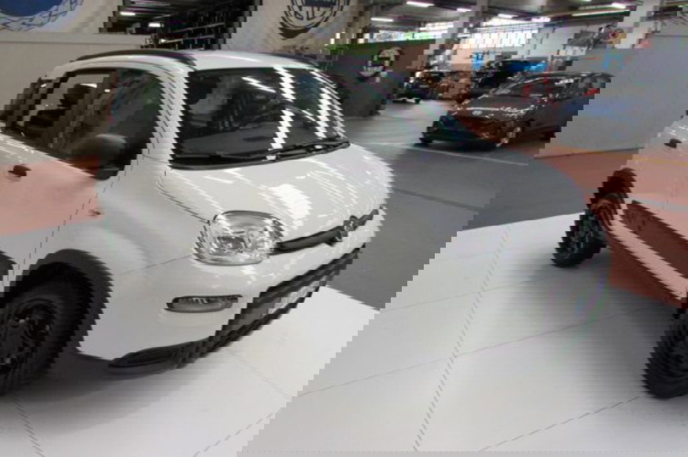 Fiat Panda usata a Milano (2)