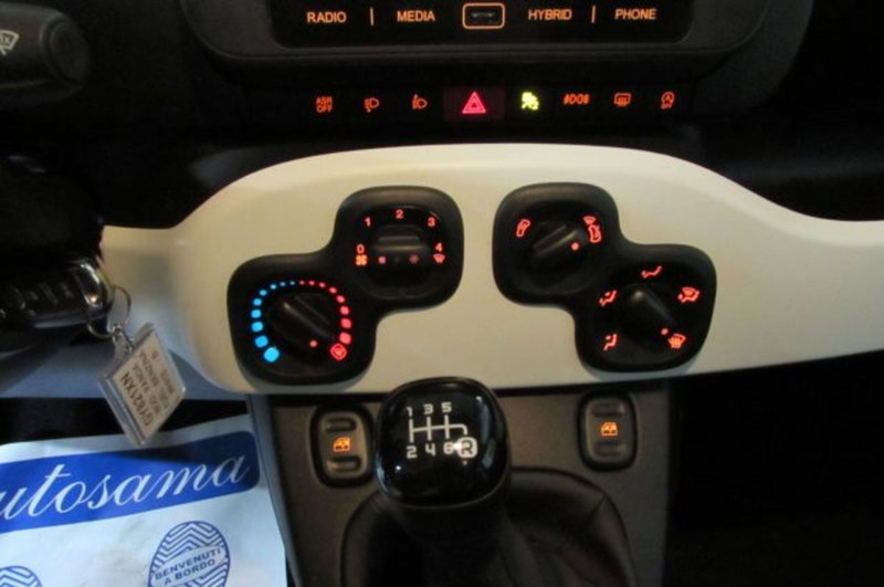 Fiat Panda Cross usata a Milano (10)