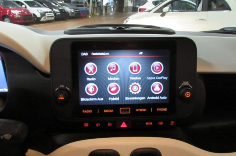 Fiat Panda Cross usata a Milano (9)