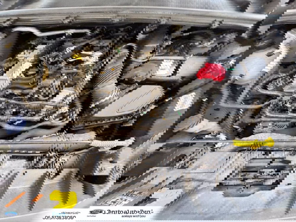 Ford Puma usata a Roma (12)