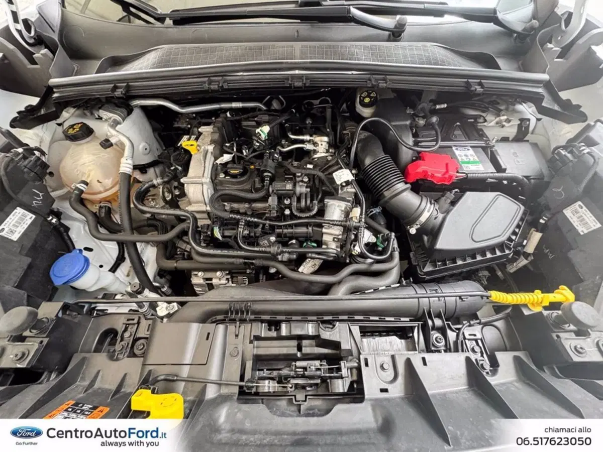 Ford Puma usata a Roma (12)