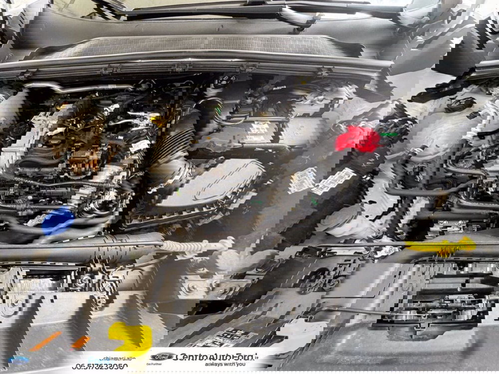 Ford Puma usata a Roma (12)