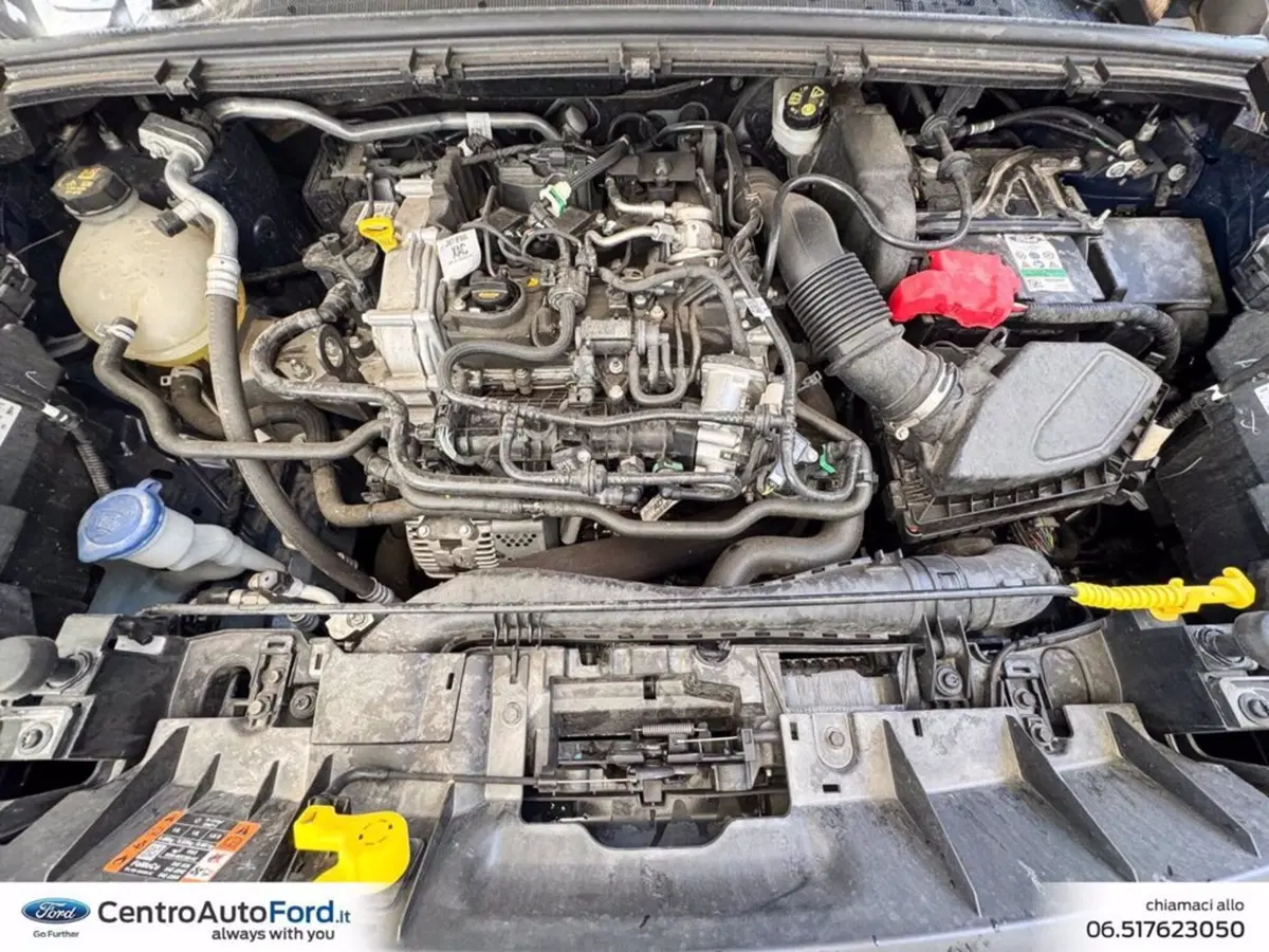 Ford Puma usata a Roma (12)