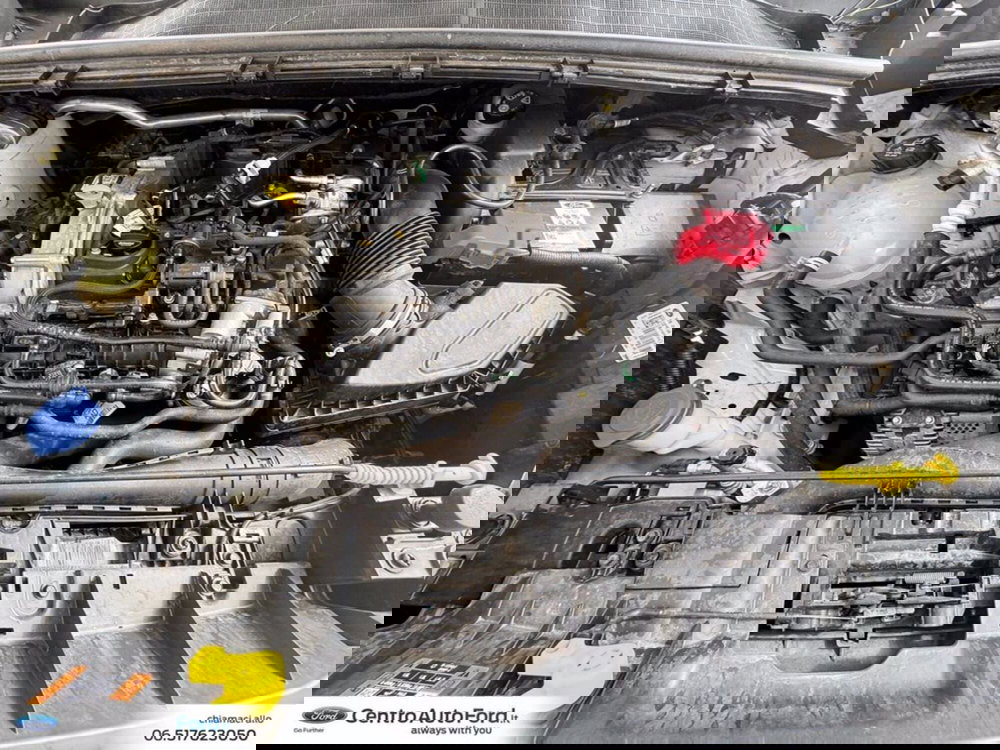 Ford Puma usata a Roma (12)