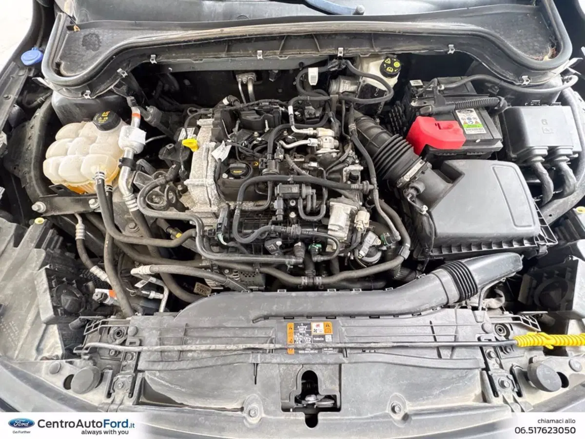 Ford Focus Station Wagon usata a Roma (12)