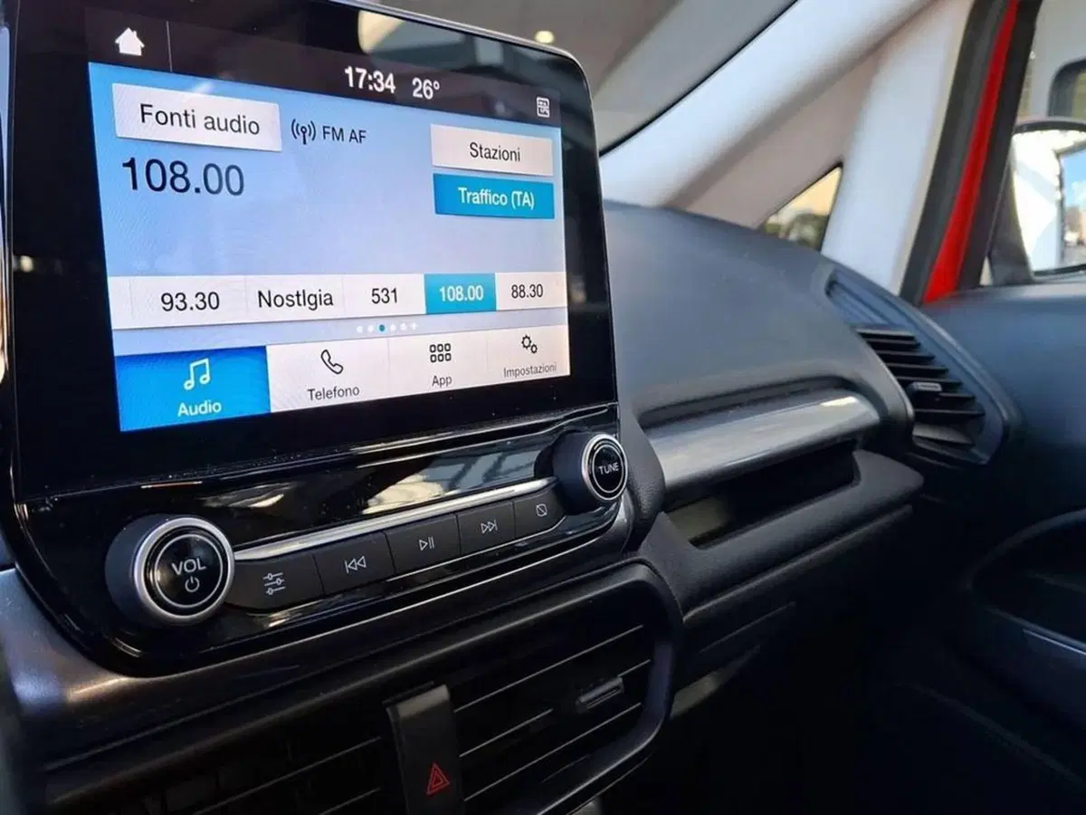 Ford EcoSport usata a Torino (9)