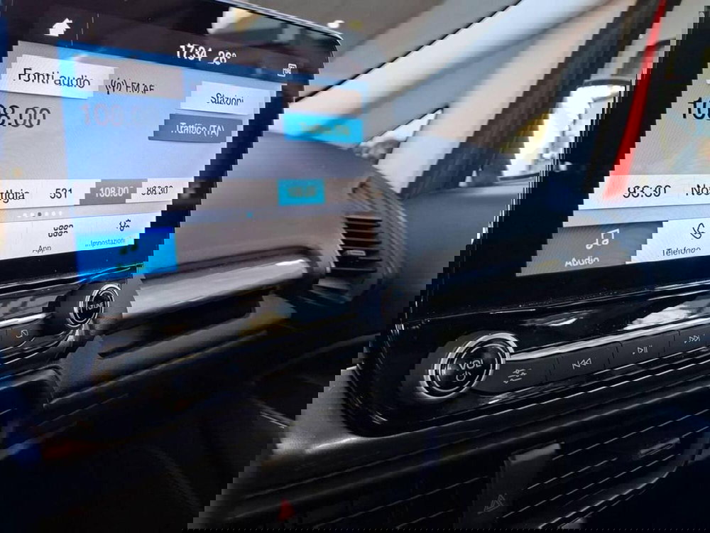 Ford EcoSport usata a Torino (9)