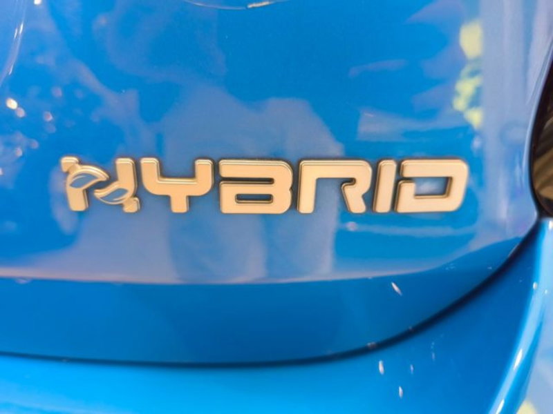 Fiat 500X usata a Firenze (20)