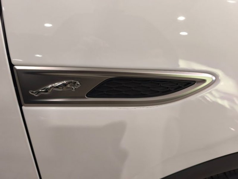 Jaguar E-Pace usata a Firenze (19)