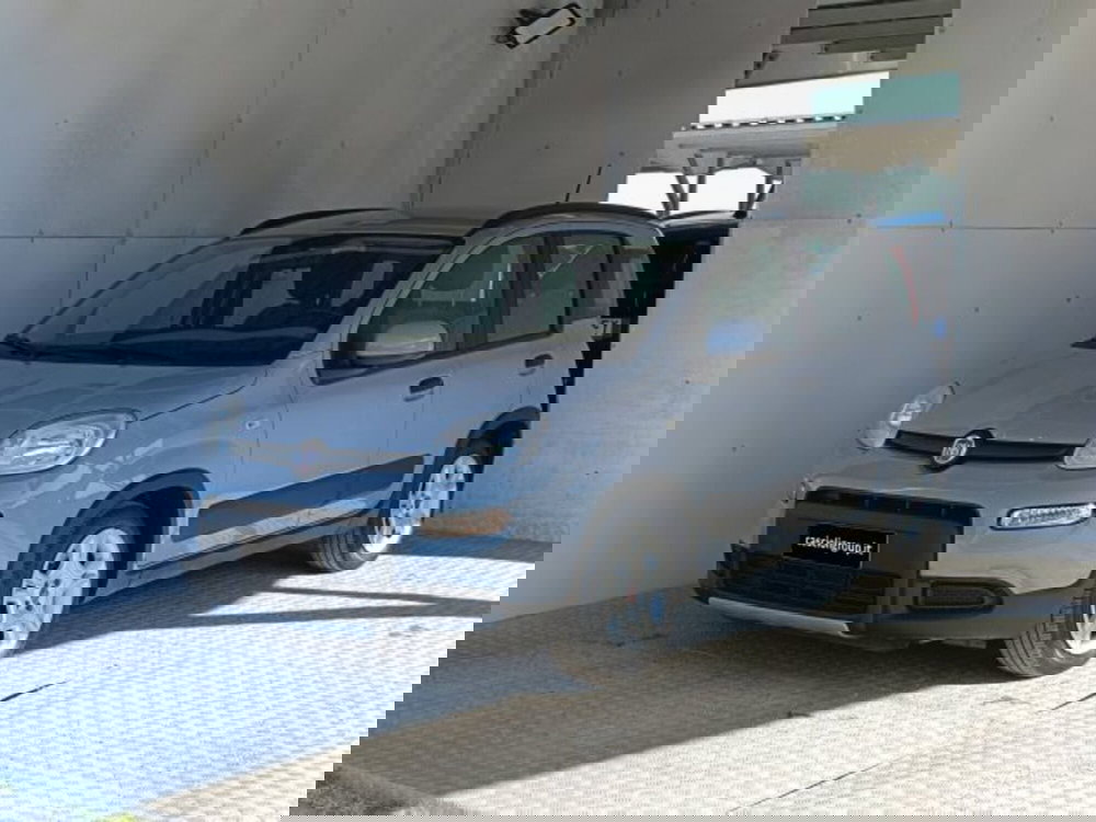 Fiat Panda usata a Teramo