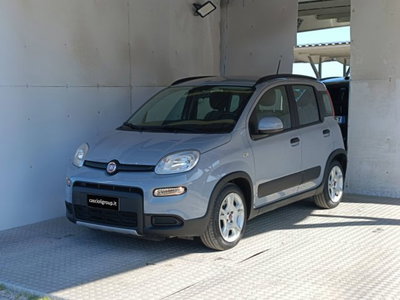 Fiat Panda 1.0 FireFly S&amp;S Hybrid City Cross del 2022 usata a Mosciano Sant'Angelo
