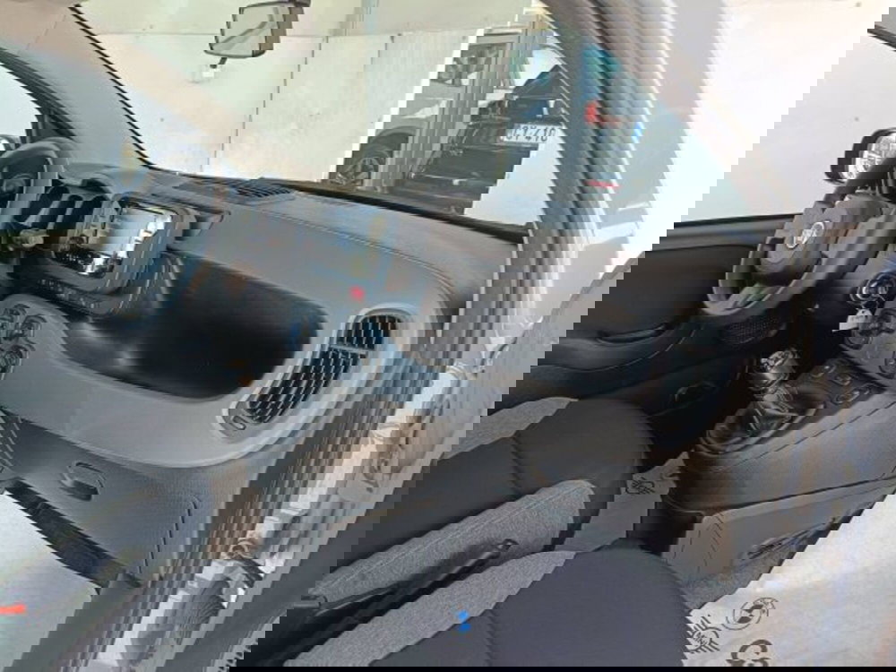 Fiat Panda usata a Teramo (10)