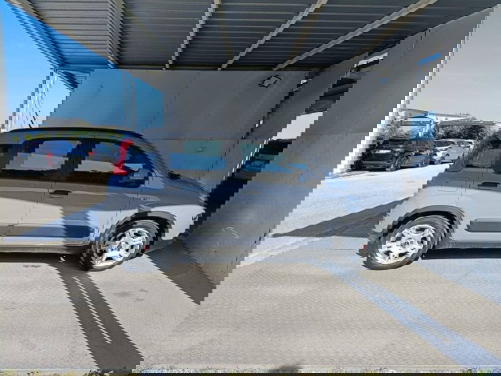 Fiat Panda usata a Teramo (3)